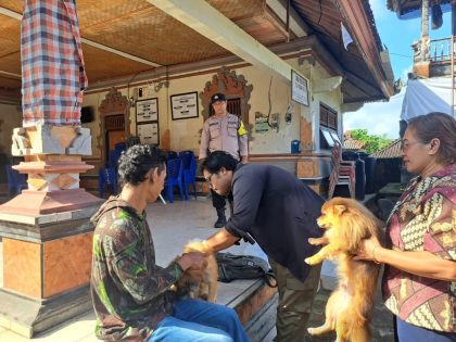 Petugas Dinas Peternakan Kabupaten Tabanan memberikan vaksin rabies kepada anjing peliharaan warga di Balai Banjar Dinas Mendek, Desa Wanagiri Kauh, Selemadeg, Senin (11/8/2025). Kegiatan ini dipantau langsung Bhabinkamtibmas setempat untuk memastikan kelancaran dan keamanan proses vaksinasi. (Foto: Istimewa)